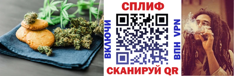 где можно купить наркотик  нарко площадка какой сайт  Canna-Cookies конопля  Гвардейск 