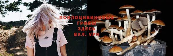 круглые Алексин