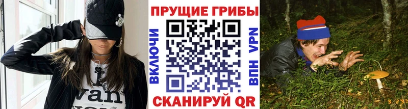 Галлюциногенные грибы Magic Shrooms  Гвардейск 
